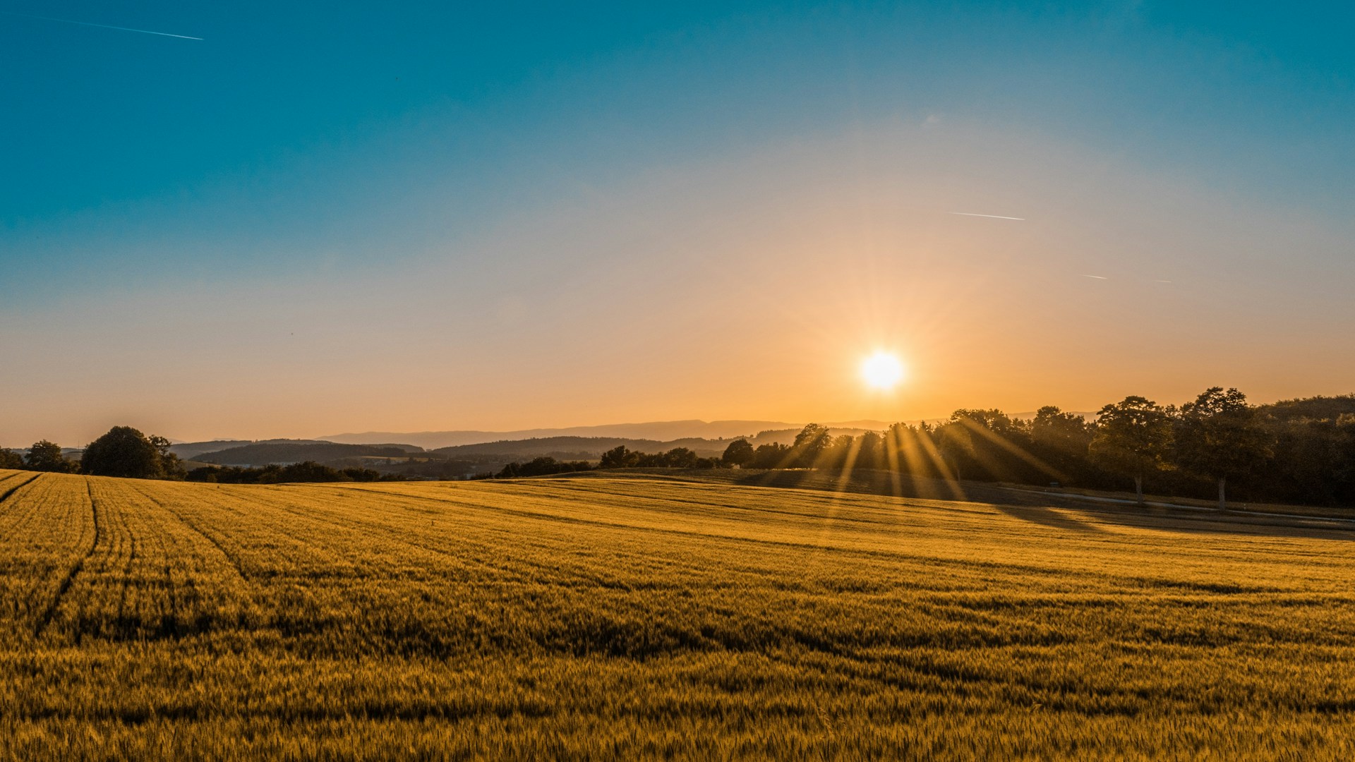 Campi coltivati al tramonto